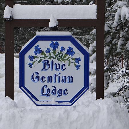 Blue Gentian Lodge At Magic Mountain Londonderry Eksteriør billede