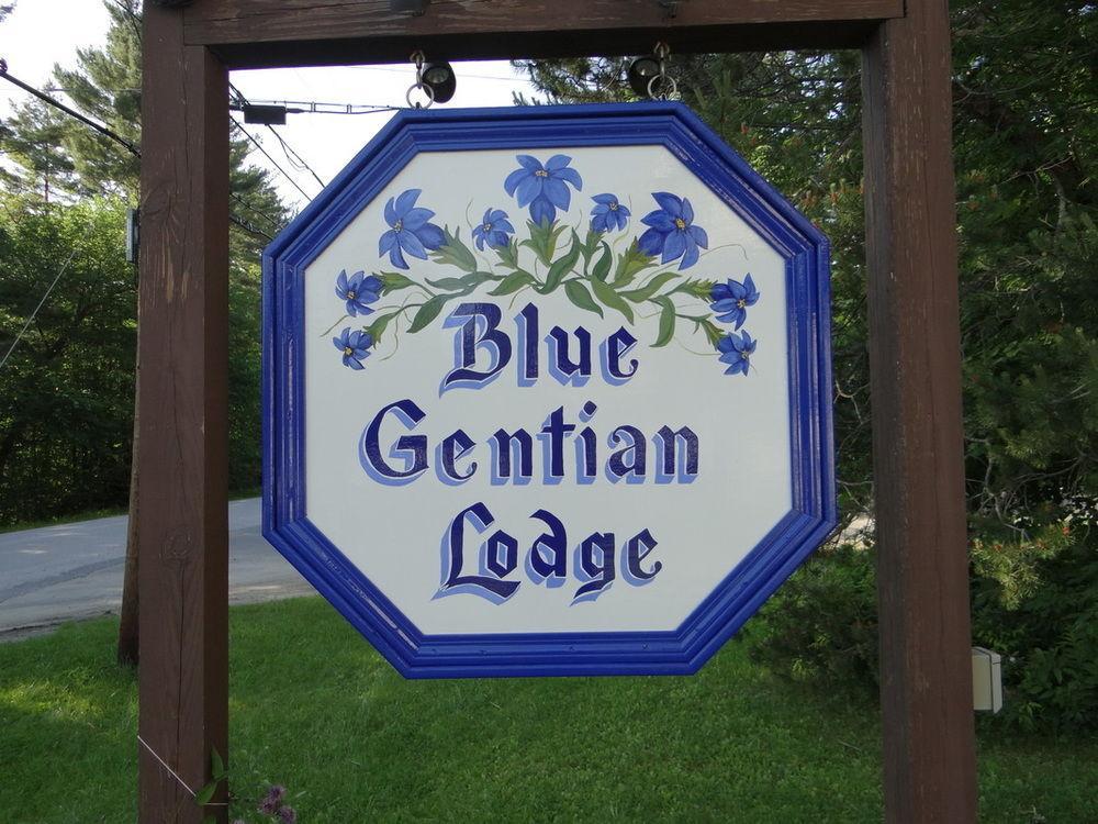Blue Gentian Lodge At Magic Mountain Londonderry Eksteriør billede