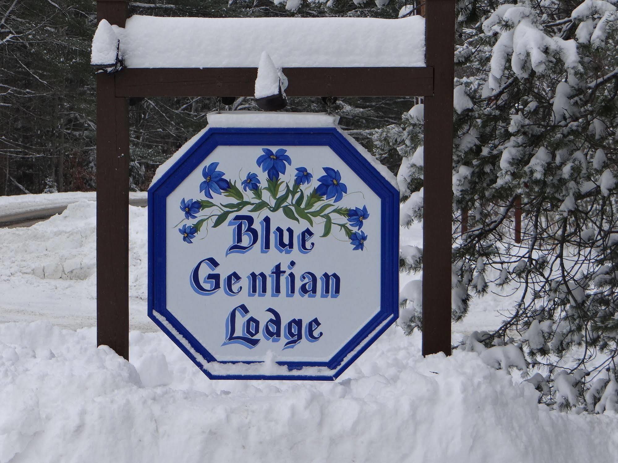 Blue Gentian Lodge At Magic Mountain Londonderry Eksteriør billede