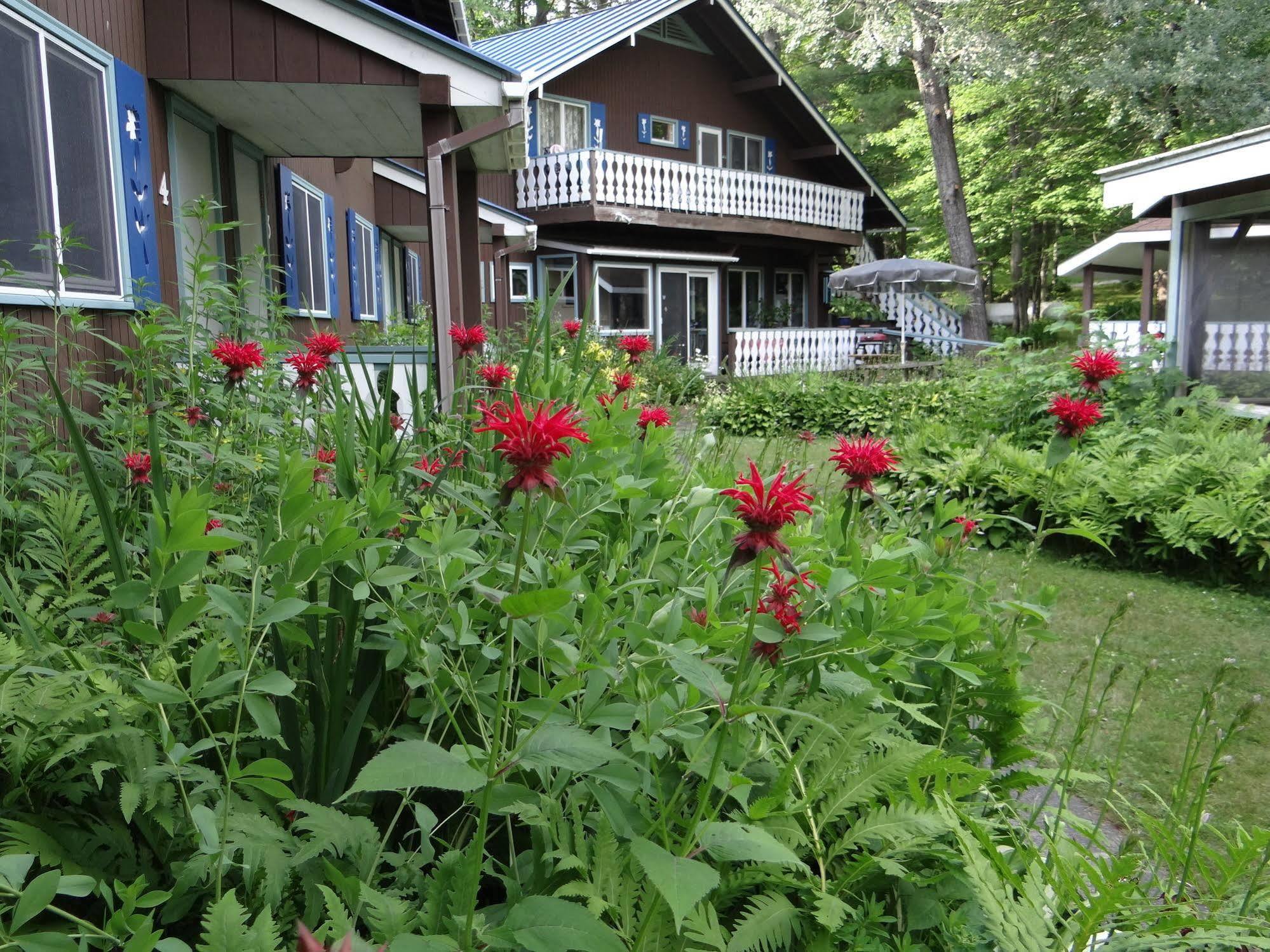 Blue Gentian Lodge At Magic Mountain Londonderry Eksteriør billede